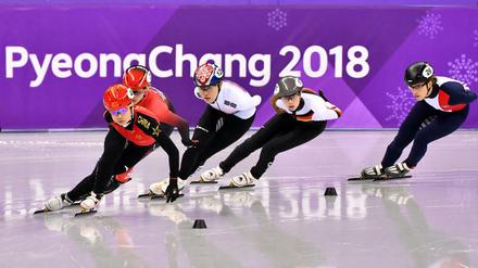 In Südkorea sind die Shorttracker Stars. Die Wettkämpfe sind immer ausverkauft.