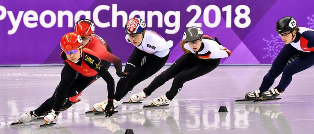 In Südkorea sind die Shorttracker Stars. Die Wettkämpfe sind immer ausverkauft.