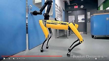 Vierbeiniger Türöffner. Der Roboter des US-Unternehmens Boston Dynamics hat sogar Manieren und hält einem anderen Roboterhund die Tür auf. 