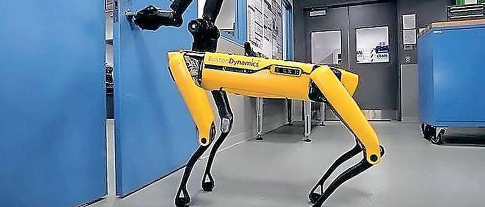 Vierbeiniger Türöffner. Der Roboter des US-Unternehmens Boston Dynamics hat sogar Manieren und hält einem anderen Roboterhund die Tür auf. 