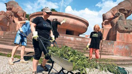 Bei Aktionstagen wie hier im vergangenen Sommer am Arnswalder Platz haben die Berliner viel Initiative gezeigt.