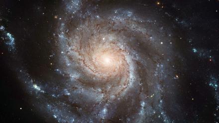 Wer Neil deGrasse Tyson zuhört, fühlt sich nicht als bedeutungsloses Staubkörnchens im Nichts, sondern als Teil eines großen Ganzen.