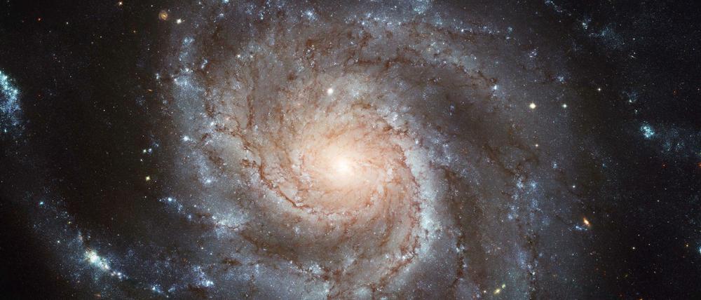 Wer Neil deGrasse Tyson zuhört, fühlt sich nicht als bedeutungsloses Staubkörnchens im Nichts, sondern als Teil eines großen Ganzen.
