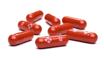 This October 18, 2021 handout photo courtesy of Merck & Co,Inc. shows capsules of the antiviral pill Molnupiravir. - Britain on November 4, 2021, approved the use of Merck's antiviral pill to treat patients suffering from mild to moderate Covid-19, the Medicines and Healthcare products Regulatory Agency (MHRA) announced. "Today is a historic day for our country, as the UK is now the first country in the world to approve an antiviral that can be taken at home for Covid-19," said health minister Sajid Javid. Molnupiravir, works by decreasing the ability of a virus to replicate, thereby slowing down the disease. (Photo by Handout / Merck & Co,Inc. / AFP) / RESTRICTED TO EDITORIAL USE - MANDATORY CREDIT "AFP PHOTO /Merck & Co,Inc./HANDOUT" - NO MARKETING - NO ADVERTISING CAMPAIGNS - DISTRIBUTED AS A SERVICE TO CLIENTS