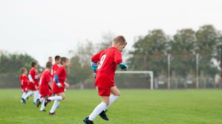 Der BFC Dynamo hatte nach Bekanntwerden der Vorwürfe einen Kinderschutzbeauftragten installiert. (Symbolbild)