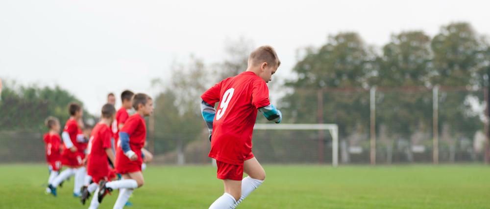 Der BFC Dynamo hatte nach Bekanntwerden der Vorwürfe einen Kinderschutzbeauftragten installiert. (Symbolbild)