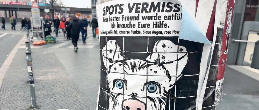 Wer kennt diesen Hund? Bald wahrscheinlich sehr viele. Spots ist der Hauptcharakter in Wes Andersons „Isle of Dogs“.