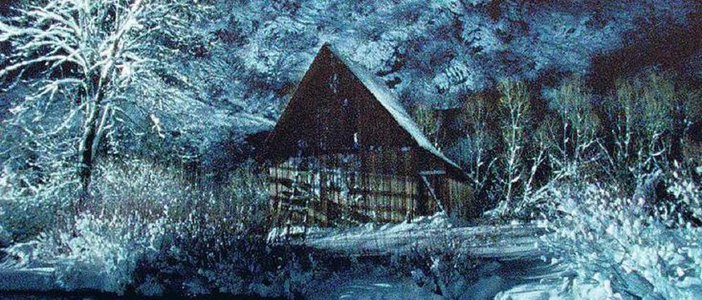 Toll fotografiert. André Gil Matas „Drvo – The Tree“ erinnert an Béla Tarr. 