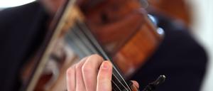 Klangliche Wärme: die Viola im Fokus