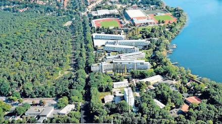 Für den Wohnungsneubau soll ein großes Stück Wald weichen.