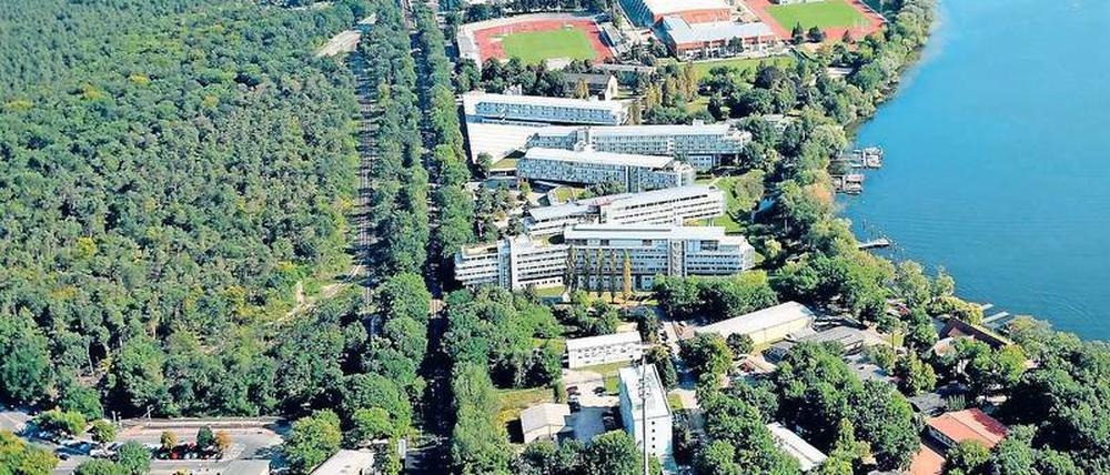 Für den Wohnungsneubau soll ein großes Stück Wald weichen.