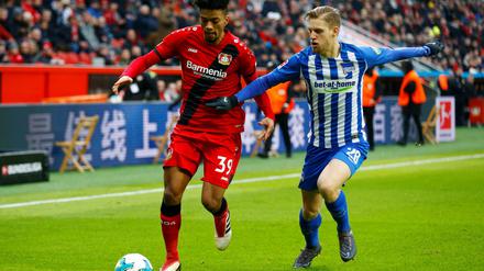 Arne Maier hat sich bei Hertha etabliert.