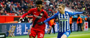 Arne Maier hat sich bei Hertha etabliert.