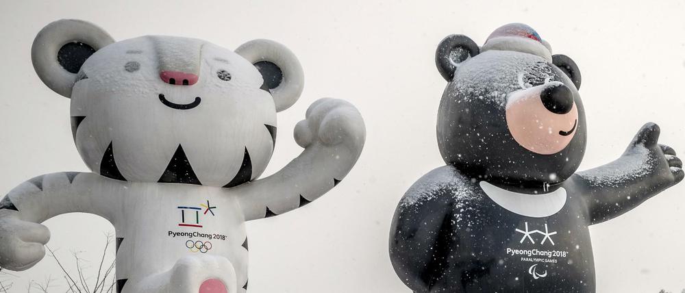 Die Olympischen Spiele sind vorbei, bald beginnen in Pyeongchang die Paralympics. 