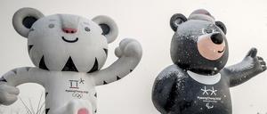 Die Olympischen Spiele sind vorbei, bald beginnen in Pyeongchang die Paralympics. 