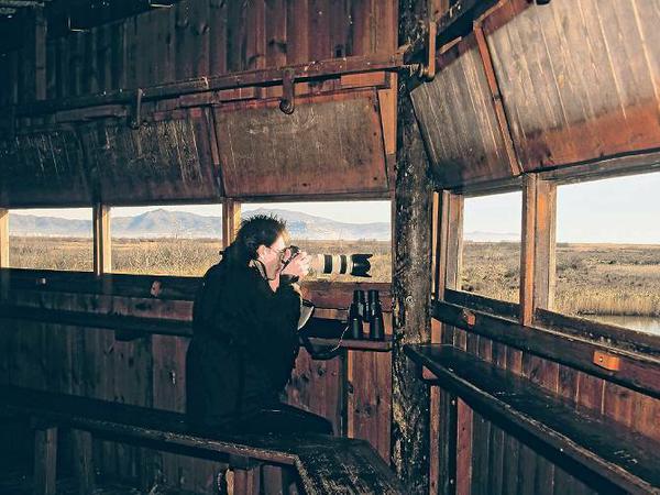 Die Gegend um Empordà, im äußersten Nordosten Kataloniens, ist heute ein Naturschutzgebiet und ein Paradies für Vogelkundler.