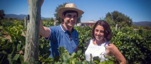 Josep und Marta Serra bauen Wein an. Auch Sorten, die es sonst nicht mehr gibt.