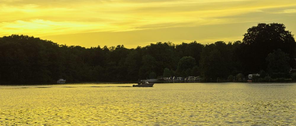 Wer den Entenwall im Müggelsee erreichen will, braucht schon ein Boot - eine Brücke gibt es nicht.