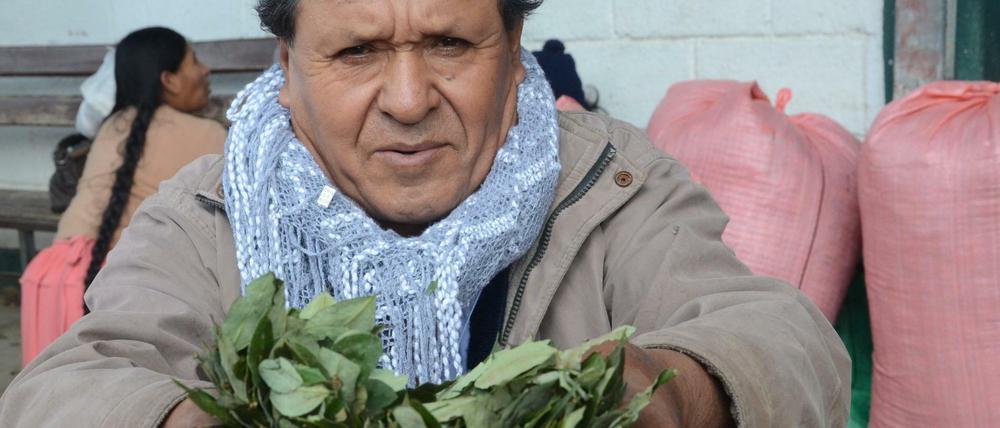 Der Kokabauer Sinforoso Ladesma zeigt seine Ernte. In Kolumbien explodiert der Koka-Anbau trotz Ende des Guerillakrieges. 
