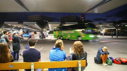 Bislang ist es am Zentralen Busbahnhof ziemlich trist.