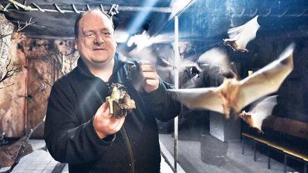 Flattermann. Jörg Harder ist oberster Fledermausbeauftragter auf der Zitadelle Spandau.
