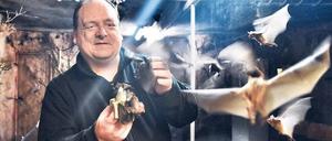 Flattermann. Jörg Harder ist oberster Fledermausbeauftragter auf der Zitadelle Spandau.