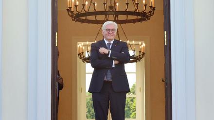 Bundespräsident Frank-Walter Steinmeier am Schloss Bellevue
