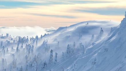 Zauberwald. In Kvitfjell belästigen einen weder Jägermeister-selige Touristen, noch Schlagerbarden. Dafür schweigt der Wald, und der Schnee ist pulvriger als in den Alpen