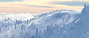 Zauberwald. In Kvitfjell belästigen einen weder Jägermeister-selige Touristen, noch Schlagerbarden. Dafür schweigt der Wald, und der Schnee ist pulvriger als in den Alpen