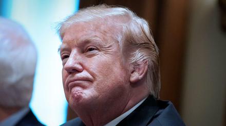 Was will er nun beim Waffenrecht? US-Präsident Donald Trump