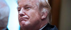 Was will er nun beim Waffenrecht? US-Präsident Donald Trump 