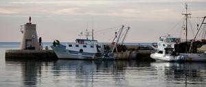 In der Bucht von Piran sind vor allem die Fischereirechte umstritten.