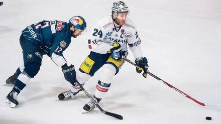 Finale gegen München? Dagegen hätten die Eisbären um ihren Kapitän André Rankel vermutlich nichts einzuwenden. Nach einer Woche Pause geht es für die Berliner aber zunächst im Viertelfinale gegen Wolfsburg, Iserlohn oder Bremerhaven. 