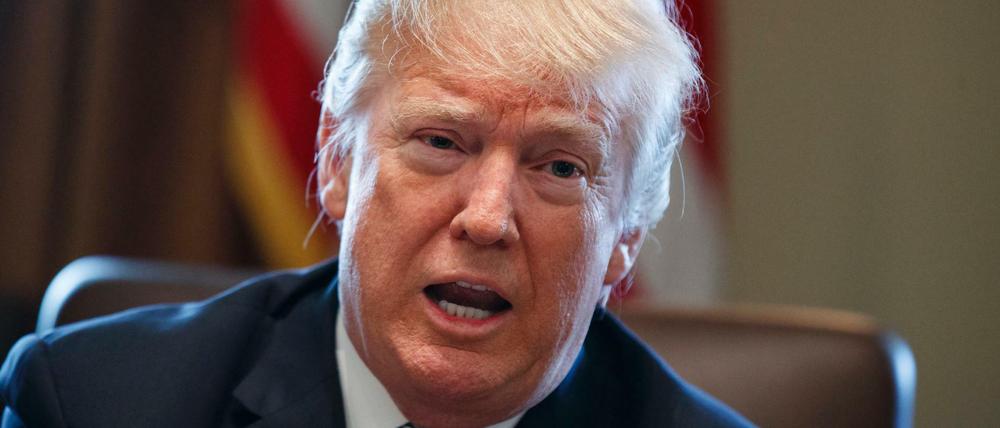 Deutschland investiert zu wenig in seine Verteidigung - findet Donald Trump.