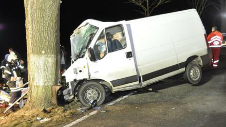 Kollision. Der Lieferwagen war nahe dem brandenburgischen Lieberose mit einem Elch zusammengestoßen, der mitten auf der Straße stand.