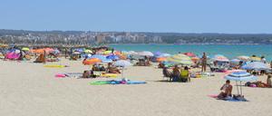 Wer am Strand und in der ersten Meereslinie keinen Platz findet, sollte sich ins Inselinnere vorwagen.