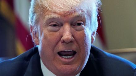Mit Strafzöllen von 25 Prozent auf Stahl und 10 Prozent auf Aluminium will Donald Trump die US-amerikanische Industrie retten.