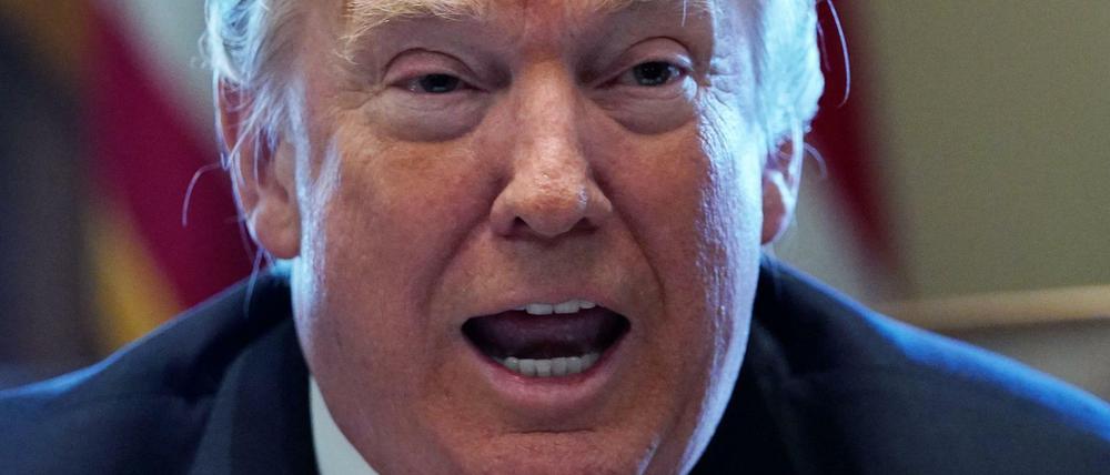 Mit Strafzöllen von 25 Prozent auf Stahl und 10 Prozent auf Aluminium will Donald Trump die US-amerikanische Industrie retten.