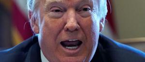 Mit Strafzöllen von 25 Prozent auf Stahl und 10 Prozent auf Aluminium will Donald Trump die US-amerikanische Industrie retten.