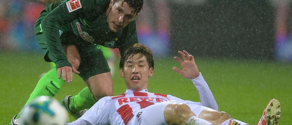 Ja, wo rollen sie denn? Bremens Zlatko Junuzovic (l.) und Kölns Yuya Osako schauen dem Ball nach.