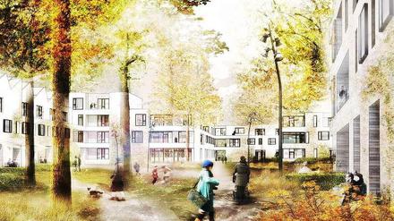 Im Modell: Künftig soll es rund 580 Wohnungen in Westend rund um den Dickensweg geben.
