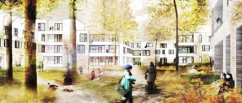 Im Modell: Künftig soll es rund 580 Wohnungen in Westend rund um den Dickensweg geben.