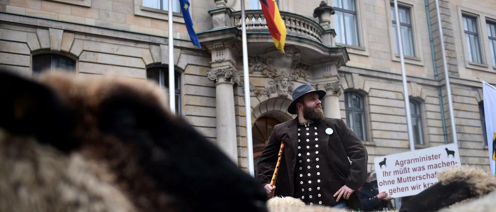 Schäfer und Schafe protestieren vor dem Bundesministerium für Ernährung und Landwirtschaft für den Erhalt ihres Berufes.