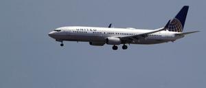 Umstrittene US-Fluggesellschaft: Hundewelpe stirbt auf Flug von United Airlines