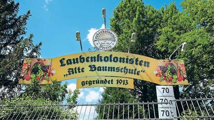 Die Kolonie „Alte Baumschule“ in Pankow plant einen Weihnachtsmarkt, um die Nachbarn für sich zu gewinnen.
