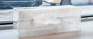 Meerestiere im neuen Habitat. Skulptur der kanadischen Künstlerin Liz Magor.