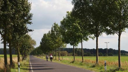 Landstraße bei Schlepzig.