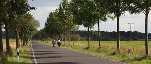 Landstraße bei Schlepzig.