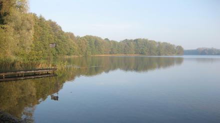 Steg am Unteruckersee.
