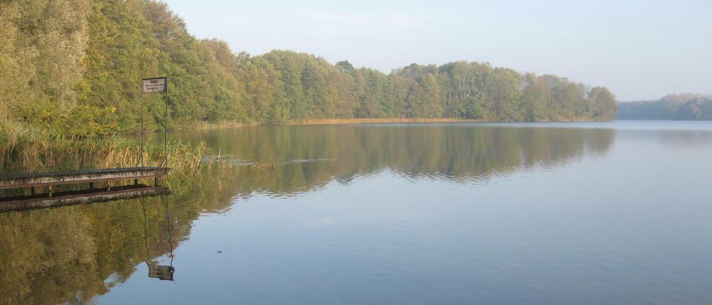 Steg am Unteruckersee.